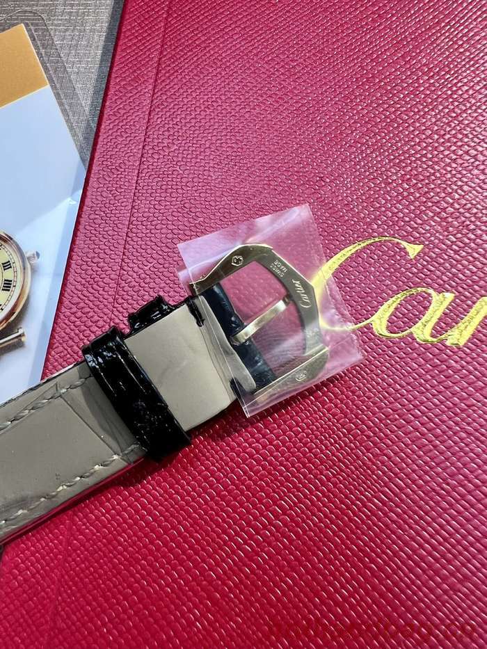 Cartier Watch CTW00281 Cartier Watch CTW00281