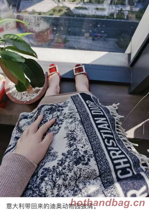Dior Blanket DIC00338 Dior Blanket DIC00338