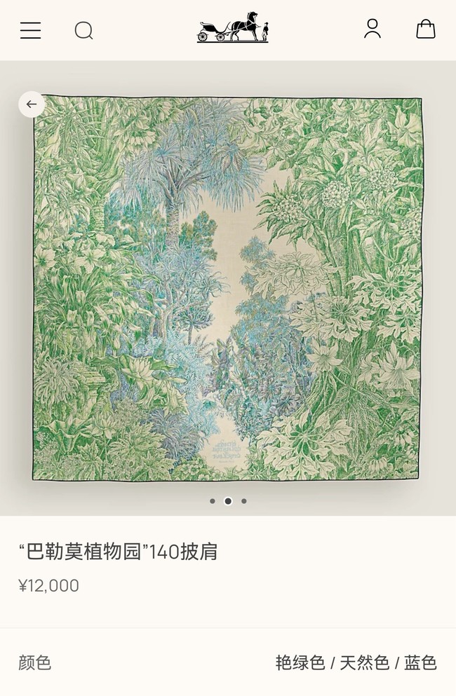 Hermes Shawl Cashmere and Silk Jacquard KY086