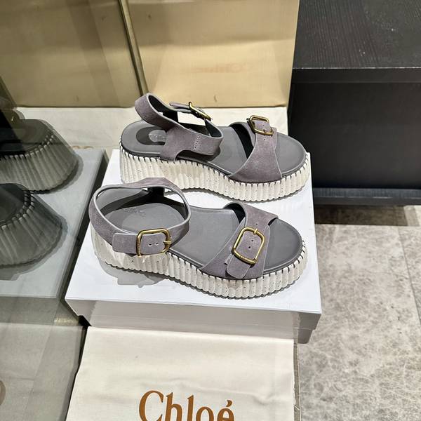 Chloe Shoes COS00018