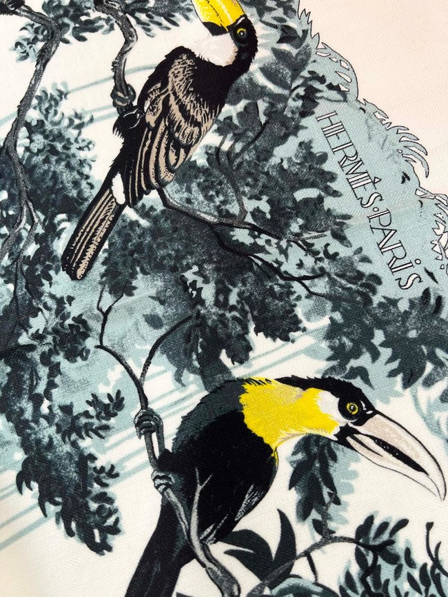 Hermes Shawl Cashmere and Silk 06397