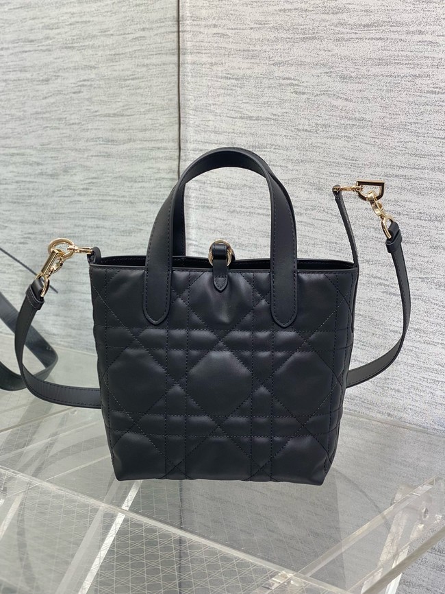 Dior Toujours Vertical Nano Tote Bag Macrocannage Calfskin S6100O black &gold