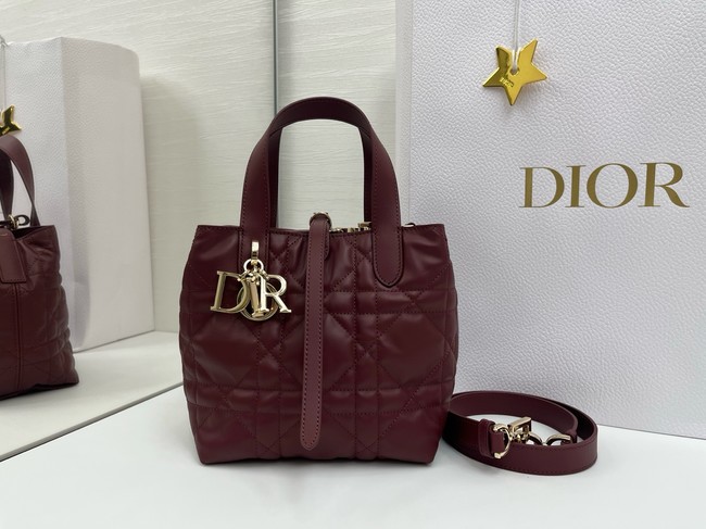 Dior Toujours Vertical Nano Tote Bag Macrocannage Calfskin S6100O burgundy