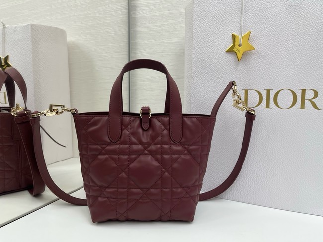 Dior Toujours Vertical Nano Tote Bag Macrocannage Calfskin S6100O burgundy