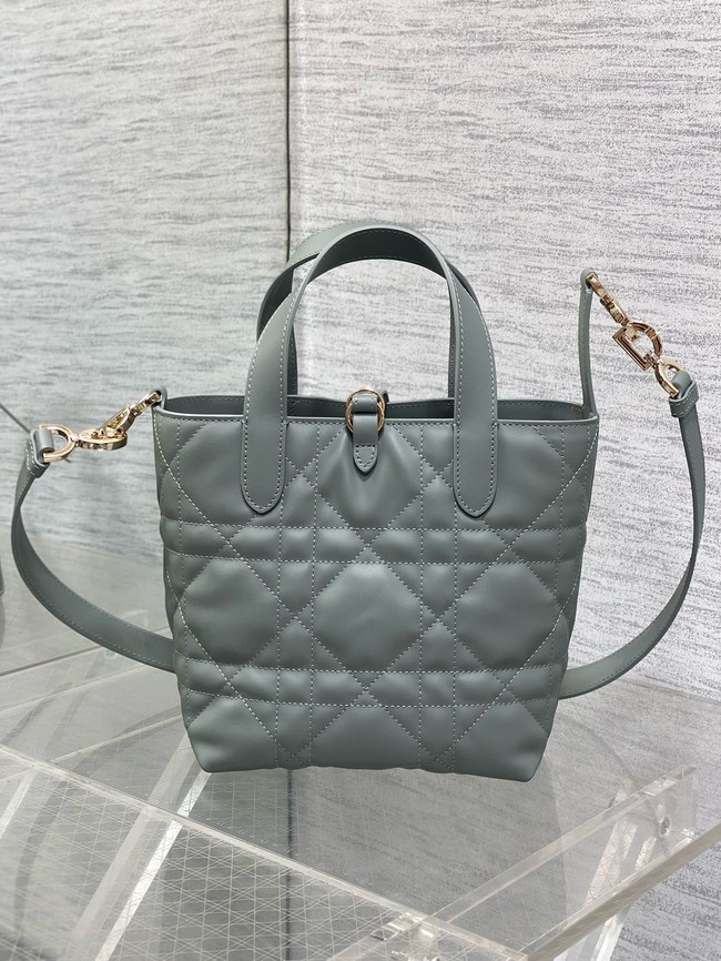 Dior Toujours Vertical Nano Tote Bag Macrocannage Calfskin S6100O gray