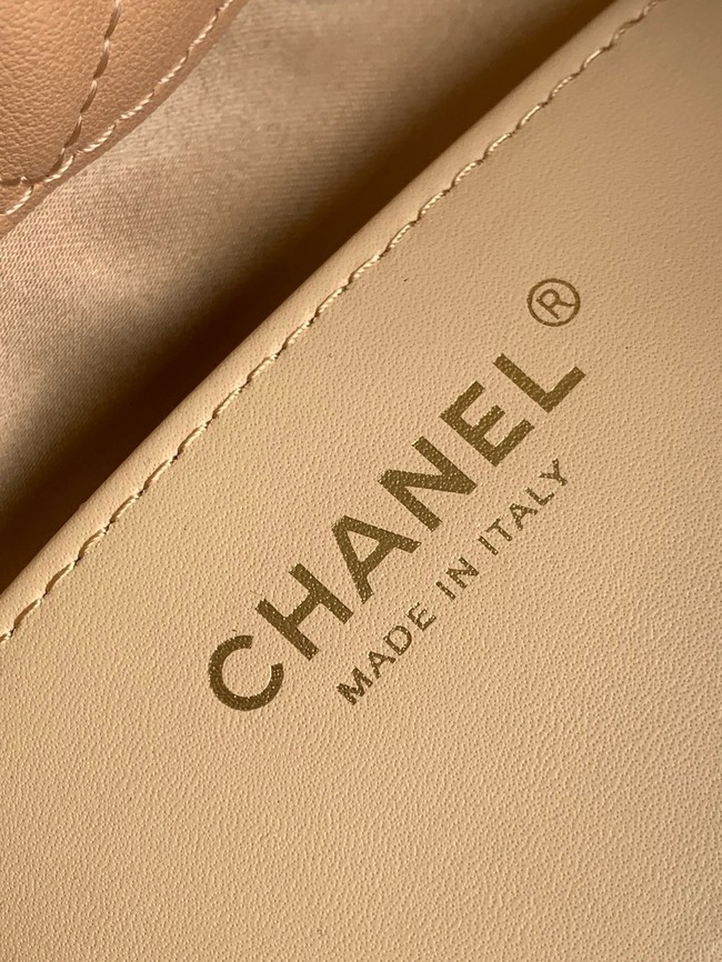 CHANEL Hobo Handbag AS5976 Apricot