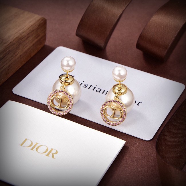 Dior Earring CE81827