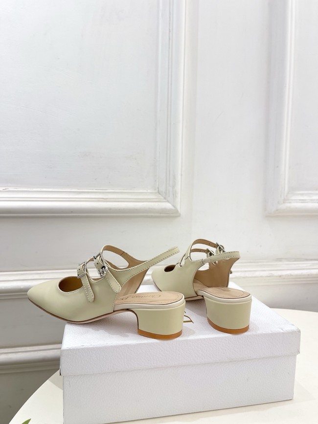 Dior Ballet Slingback Pump 55712-3